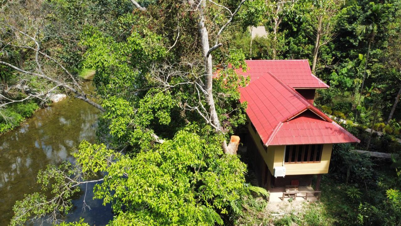Art'S Riverview Lodge Khao Sok National Park Exterior foto