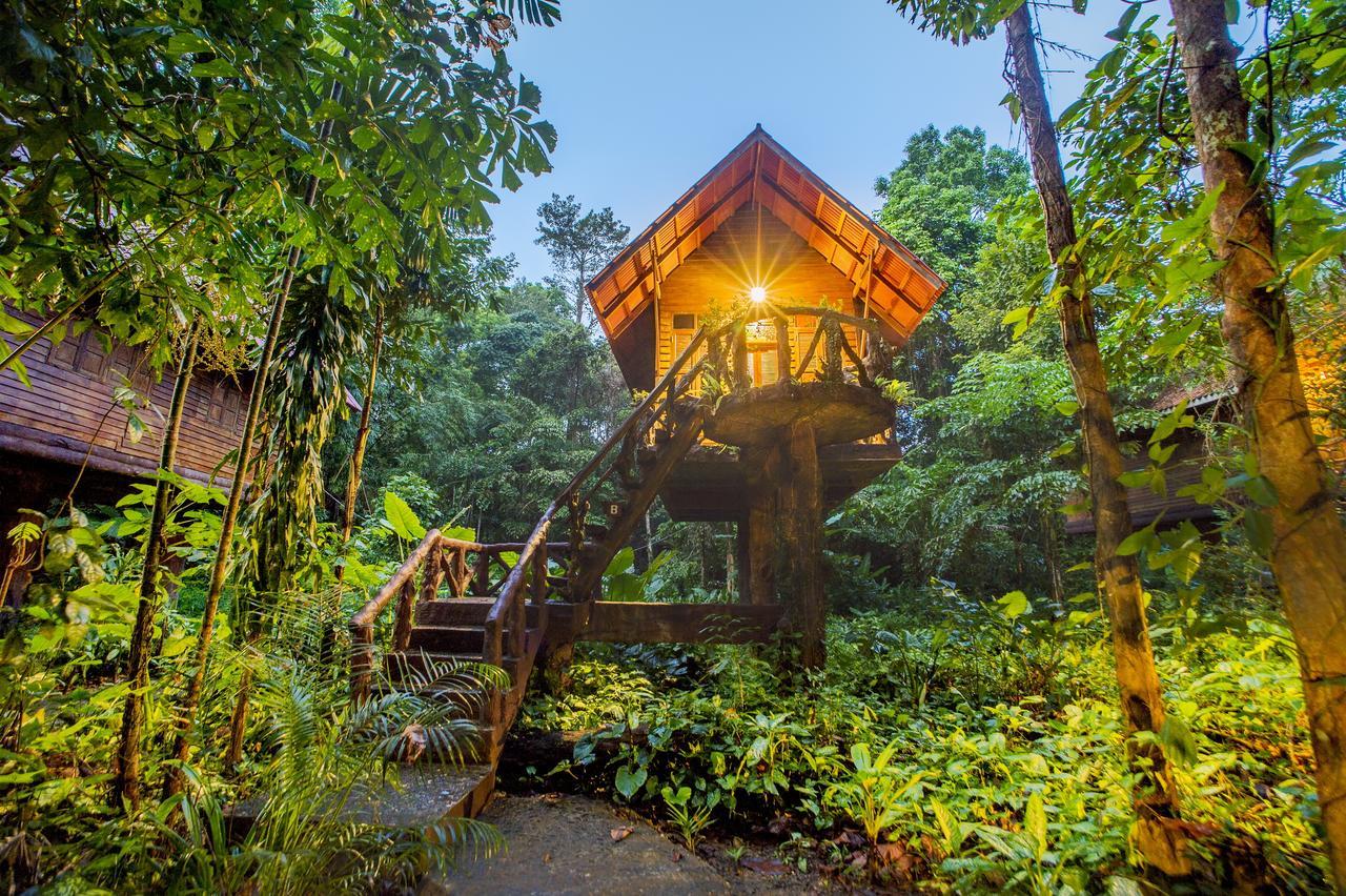 Art'S Riverview Lodge Khao Sok National Park Exterior foto